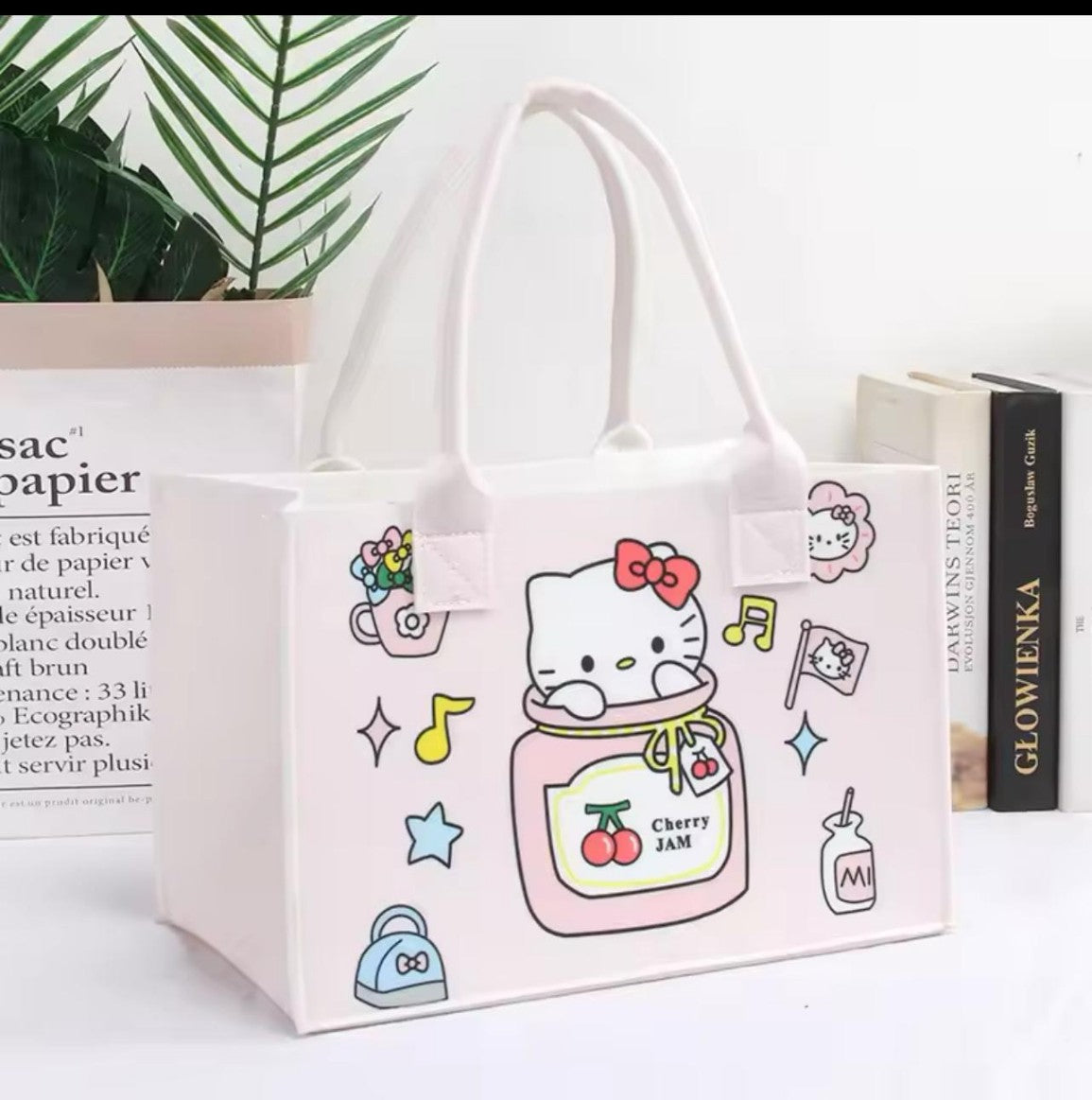 Bolso sanrio